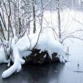 Winterblick aus Senzig (tn_100_4115.jpg) Zeesner See im Landkreis Dahme Spreewald
